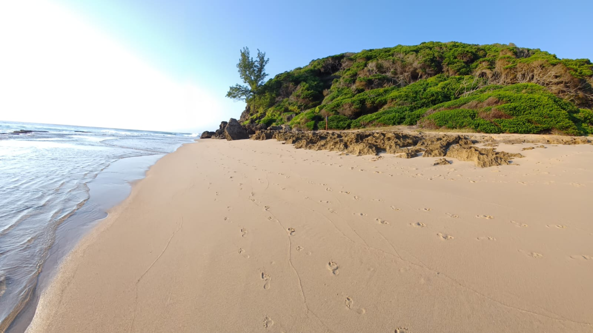 Beach View